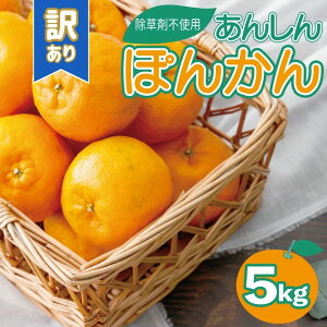 yӂ邳Ɣ[Łz s\񁄖󂠂|J 5kg Y mY Î_ς Â ʏ` W[V[ m m l  t[c  ~J ʕ  TS-03