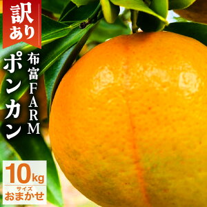 �y�ӂ邳�Ɣ[�Łz ����s�\�񁄁y�I�ׂ�z �󂠂� �|���J����5�`10kg�� NT1-7 ���Y ���m���Y ��A�� �I�����W �ʕ� �t���[�c �Â� �_�� �W���[�V�[ �~�J�� ���� ���m�� �l�� �z�xFARM ������ 