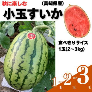 yӂ邳Ɣ[Łzy10{`11zR_̏ʃXCJ yP܂zi1or2or3) 1 2 3 t[c Gߌ H Yn n Â  Z  R_/m ޔ