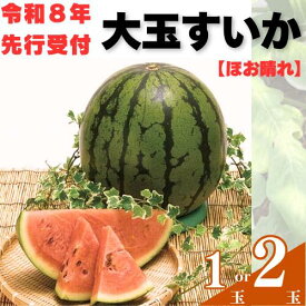 【ふるさと納税】【先行受付】山中農園のスイカ （1玉or2玉） 種が少ない1玉 2玉 フルーツ 産地直送 完熟 糖度 リピーター率高い 甘い 大玉 西瓜 すいか/高知県 奈半利町