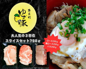 【ふるさと納税】高知のブランド豚 大人気の3部位スライスセット(750g) 各250g 肩ロース ロース バラ 食べ比べ ゆず豚 国産豚 豚肉 肉 お肉 焼肉 BBQ 精肉 豚 人気 おすすめ 冷凍 人気 贈答/高知県奈半利町 112008