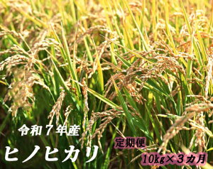 yӂ邳Ɣ[ŁzyցzqmqJց@3A@ߘa7NY@Ђ̂Ђ@_Ƃ񎩖@ā@ā@ց@퉷@mY