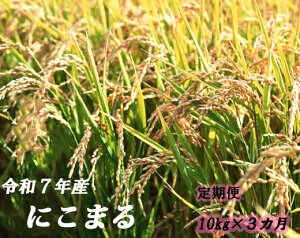 yӂ邳Ɣ[Łyցzɂ܂ 3A@ߘa7NY ɂ܂ _    R  ց@퉷 jR} /m ޔ