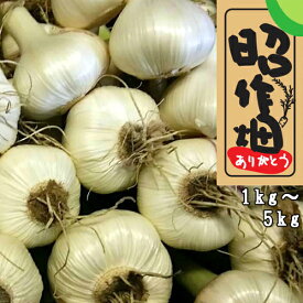 【ふるさと納税】【先行受付】新にんにく 【選べる】 （1kg ＊2kg ＊ 5kg） 選べる 季節限定 新にんにく ガーリック スタミナ 新鮮 健康 旬 薬味 冷蔵/高知県 奈半利町
