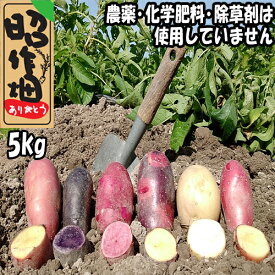 【ふるさと納税】　じゃがいも食べ比べセット5kg