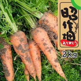 【ふるさと納税】土付きにんじん2kg 季節限定 人参 掘りたて 新鮮 健康 産地直送/高知県 奈半利町