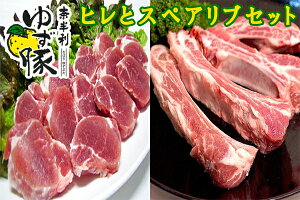 yӂ邳Ɣ[Łzޔ䂸؃qƃXyAuZbg@ؓ XyAu q 䂸 m ޔ