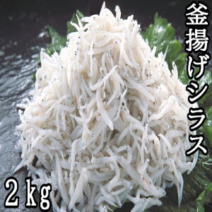 yӂ邳Ɣ[ŁzgVX2kgi500g×4j@VX@炷@gVX@VN@eʁ@Ղ@Ⓚ炷