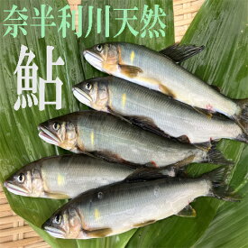 【ふるさと納税】奈半利川の友釣り天然アユ（冷凍） 【選べる】 （4尾 or 9尾) 利き鮎グランプリ受賞 釣り 鮎 あゆ 奈半利川 アウトドア 清流めぐり利き鮎会 SPグランプリ受賞 /高知県 奈半利町