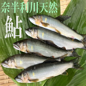 yӂ邳Ɣ[Łzޔ̗FނVRA VR YΏ m  ޔ Ⓚ 4 9Iׂ