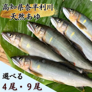 �y�ӂ邳�Ɣ[�Łz�ޔ�����̗F�ނ�V�R�A���i�Ⓚ�j �y�I�ׂ�z �i4�� or 9��) �������O�����v����� �ނ� �� ���� �ޔ����� �A�E�g�h�A �����߂��藘������ SP�O�����v����� /���m�� �ޔ���