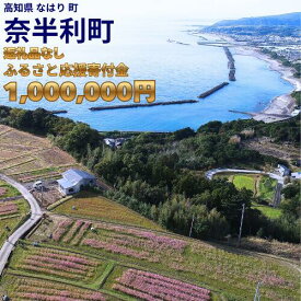 【ふるさと納税】999999-8【応援寄附金】高知県奈半利町 1口 100万円 返礼品なしのご寄附　【奈半利町役場】