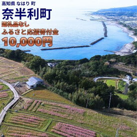 【ふるさと納税】999999-2【応援寄附金】高知県奈半利町 1口 1万円 返礼品なしのご寄附【奈半利町役場】