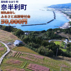 【ふるさと納税】999999-3【応援寄附金】高知県奈半利町 1口 5万円 返礼品なしのご寄附【奈半利町役場】