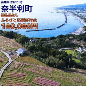 【ふるさと納税】999999-4【応援寄附金】高知県奈半利町 1口 10万円 返礼品なしのご寄附　【奈半利町役場】