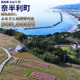 【ふるさと納税】999999-8【応援寄附金】高知県奈半利町 1口 50万円 返礼品なしのご寄附　【奈半利町役場】