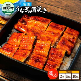 【ふるさと納税】田野町産うなぎの蒲焼き 大 2尾 5尾 10尾 特製ダレ 山椒付き 約120g～150g うなぎ 鰻 ウナギ 国産 高知県産 冷凍 蒲焼 かばやき 特製タレ 丑の日 お取り寄せグルメ 故郷納税 16000円～