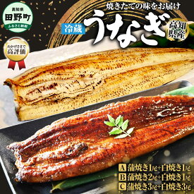 【ふるさと納税】鰻 ウナギ ヤマシン特選うなぎの蒲焼き 1～3尾 特製タレ付き うなぎ 鰻 ウナギ 国産 高知県産 蒲焼 かばやき 白焼き 特製タレ 冷蔵 配送 真空パック 高知 ふるさとのうぜい 故郷納税 丑の日 鰻ふるさと納税 あっさり 2尾 3尾 6尾 タレ ギフト 高級