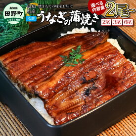 【ふるさと納税】ヤマシン特選うなぎの蒲焼き 2尾 3尾 6尾（特製タレ付き）うなぎ 鰻 ウナギ 国産 高知県産 蒲焼 かばやき 特製タレ 冷蔵 配送 高知 ふるさとのうぜい 故郷納税 15000円 返礼品 炭火 炭火焼き 高級 小分け ギフト 真空パック 丼 茶漬け プレゼント 惣菜