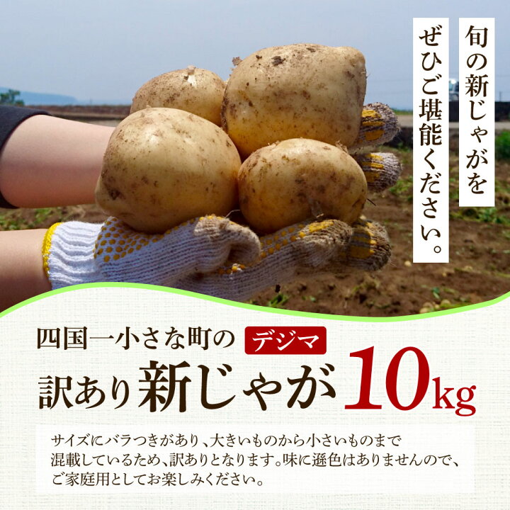 楽天市場】【ふるさと納税】☆先行予約 2025年5月発送開始☆大野台地で 