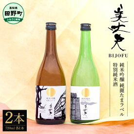 【ふるさと納税】★四国一小さなまちの地酒★ 美丈夫 純米吟醸 純麗たまラベル＆特別純米酒 720ml ×2本 ふるさと納税 日本酒 720ml セット 贈答用 日本酒 一升瓶 お酒 酒 おさけ 0.72リットル 度数 15度 おいしい 地酒 男性 父 誕生日 お祝い ギフト 高知県 高知 12000円