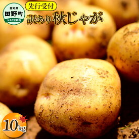 【ふるさと納税】《令和7年11月中旬から順次発送》 〜四国一小さなまちのじゃがいも〜　高知県田野町の大野台地で採れた令和7年産『秋じゃが 』10kg 訳あり品！ 傷 不揃い 大野台地 秋じゃが じゃがいも デジマ イモ ジャガイモ 芋 いも 訳あり お試し ポテト 旬