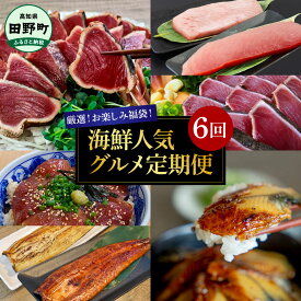 【ふるさと納税】厳選お楽しみ福袋！海鮮人気グルメ定期便 6回 まぐろ 戻り鰹 初鰹 カツオのたたき 鰻 きざみ鰻 蒲焼き 白焼き 漬け丼 タレ 料理 国産 簡単 手軽 魚 魚介 海鮮 名物 美味しい お取り寄せ 冷蔵 冷凍 配送 高知県 田野町 ふるさとのうぜい 故郷納税 返礼品