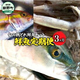 【ふるさと納税】 ～海の幸～旬の朝どれ鮮魚セット カネアリ水産の鮮魚定期便3ヶ月 季節 四季 旬 春 夏 秋 冬 鮮魚 カツオ サバ 金目鯛 カンパチ 魚 海鮮 冷蔵配送 定期便 定期コース 3回 国産 高知県産 高知 返礼品 故郷納税 ふるさとのうぜい 田野町