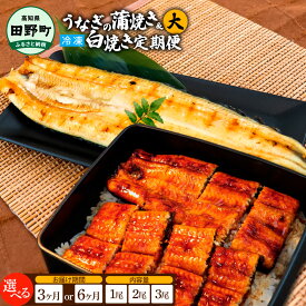 【ふるさと納税】田野町産うなぎの蒲焼き(大)+うなぎの白焼き(大)各1～3尾 定期便 3ヶ月 6ヶ月 定期コース 1尾あたり120～150g タレ・山椒付 うなぎ 鰻 ウナギ 蒲焼き かば焼き 白焼 国産 お取り寄せ 冷凍配送 送料無料 高知県 ふるさとのうぜい 故郷納税 返礼品 46000円から