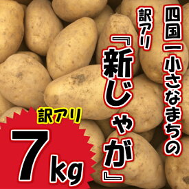【ふるさと納税】〜四国一小さなまちの新じゃがいも〜　大野台地で採れた『令和3年産新じゃが』7kg訳アリ品