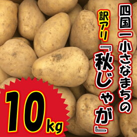 楽天市場 じゃがいも 大きいサイズの通販