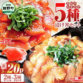【ふるさと納税】訳あり 漬け丼 5種 80g×5～20P セット 6000円 10000円 マグロ 鯛 ブリ おまかせ3種 お試し 鮪 鯛 詰め合わせ 海鮮丼の具 漬け丼の素 どんぶり 丼 漬けマグロ 海鮮 漬け魚 個食 個包装 小分け 海鮮丼セット 冷凍 高知県 食べ比べ 保存食 一人暮らし 魚