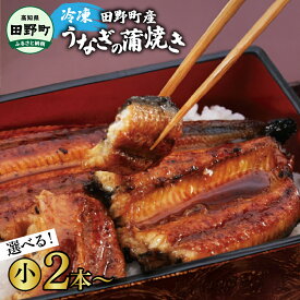 【ふるさと納税】うなぎ 国産 田野町産うなぎの蒲焼き かば焼き 2尾 5尾 うなぎの蒲焼き 小 ウナギ 鰻 無頭 蒲焼 かばやき 惣菜 海鮮 お取り寄せ 冷凍 配送 ギフト 高知県 田野町 故郷納税 返礼品 12000円～