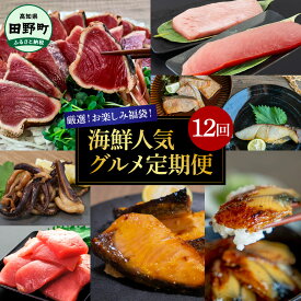 【ふるさと納税】【定期便】海鮮 グルメ 厳選お楽しみ福袋！海鮮人気グルメ定期便 12回 秋鮭 戻り鰹 初鰹 カツオのたたき マグロ アオリイカ ゲソ 鰻 きざみ鰻 蒲焼き 白焼き 漬け丼 ウツボ 西京漬け 魚 魚介 海鮮 お取り寄せ 冷蔵 冷凍 配送 高知県 刺身 150000円