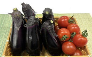 yӂ邳Ɣ[Łzc̖ iX g}g ʃZbg   Zbg lߍ킹 iX 5{g}g 150g x 2 300g {̖ Gߖ ₳ Y lC G { VN  m c TR-15