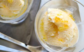 【ふるさと納税】 安田町のつぶつぶのあるゆずシロップ2個セット 高知県産 ゆずシロップ 200ml×2個セット ゆず 柚子 調味料 料理 デザート 柑橘 フルーツ 果物 ドレッシング アイスクリーム ヨーグルト 常温 高知県 安田町 TR-14