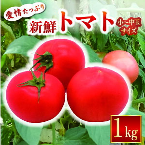 yӂ邳Ɣ[ŁzcY ՂVNg}g1kg st n g}g mY 1kg Yn VN  lC  Ƃ܂ h{ wV[ m c TR-03