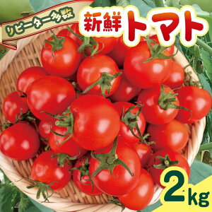 yӂ邳Ɣ[Łz yVNȃg}g񂨓͂IzcY ՂVNg}g2kg st n g}g Ƃ܂ g}g t[cg}g ~fBg}g mY 2kg Yn VN 