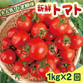 【ふるさと納税】 【先行受付】 安田町産 新鮮 トマト 1kg 定期便 2回発送 計2kg 早期予約 2ヶ月 定期便 とまと トマト フルーツトマト ミディトマト　1kg 新鮮 野菜 旬 とまと 夏野菜 期間限定 季節限定 先行予約 ふるさと納税 人気 高知 安田町 TR-05