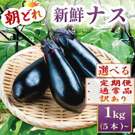 【ふるさと納税】 【この時期だけの日本一ナスを幅広いサイズでお届け！】 新鮮 なす 生産量日本一 茄子 選べる内容量 訳あり わけあり 通常品 定期便 野菜 やさい 1月 3月 産地直送 朝採り 採りたて 先行予約 期間限定 旬の野菜 高知県 安田町1kg 2kg 20本 50本 2回定期便