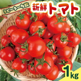 【ふるさと納税】 【使いやすいお手頃サイズ！】安田町産 愛情たっぷり新鮮トマト1kg 先行受付 完熟 トマト とまと トマト フルーツトマト ミディトマト 高知県産 1kg 産地直送 新鮮 採りたて おすすめ ランキング 人気 野菜 とまと 栄養 ヘルシー 高知 安田町 TR-03
