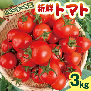 yӂ邳Ɣ[Łz yNlCґg}gzcY ՂVNg}g3kg VN g}g Ƃ܂ t[cg}g ~fBg}g ʌ lߍ킹 Zbg Â {  3kg 3L ̂