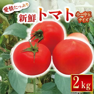 yӂ邳Ɣ[Łz yVNȃg}g񂨓͂IzcY ՂVNg}g2kg st n g}g Ƃ܂ g}g t[cg}g ~fBg}g mY 2kg Yn VN 