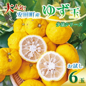 【ふるさと納税】 少量シリーズ ゆず 使い道いろいろセット ゆず 6個 柚子 詰め合わせ 少量 果汁 果物 フルーツ 柑橘 新鮮 国産 料理 お酒 お菓子 デザート 料理 ゆず風呂 柚子湯 ゆず玉 ゆず酒 ゆずこしょう ゆず果汁 冬至 高知県 安田町 TR-22