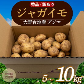 【ふるさと納税】 選べる 秀品 訳あり じゃが芋 春デジマ じゃがいも 馬鈴薯 5kg ～ 10kg 新鮮 掘りたて 掘り立て ほりたて 産地直送 農家直送 野菜 やさい カレー ポテト サラダ じゃがバター 新じゃが 訳あり 不揃い 高知県 安田町 ykー0010all