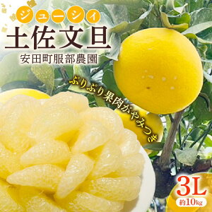 yӂ邳Ɣ[Łz ͂Ƃ肳񂿂̔_ňĂyU(3LTCY10kg) U 3LTCY 10kg  Ԃ񂽂 k yU { 퉷 ʏ` fU[g T_ W }[}[h Mtg Ε 