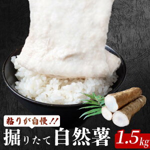 yӂ邳Ɣ[Łz cY S肪 @肽ĎR1.5kg R Ƃ 1.5kg ̂ꂽ VN   т̂ S wV[ N ˂񂶂  ӂӂ  m c JN-