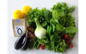 yӂ邳Ɣ[Łz 2 8-10iڃZbg  2  8?10i Zbg lߍ킹  300g  qmqJ ̂ꂽ ƌv ʕ ₳ t[c g؂ g}g Ȃ uh  