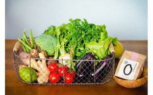 yӂ邳Ɣ[Łz Yn {̔  ؃Zbg   Zbg 2 300g 6-8i ܂ lߍ킹 l ₳  Ђ̂Ђ ߘa6NY 2025NY m c MR-03