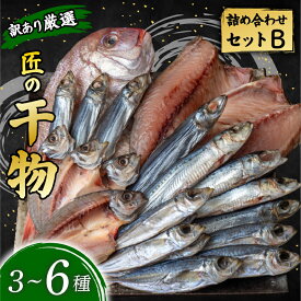 【ふるさと納税】 プロ厳選！ 訳あり 干物 セット 極上 国産 干物 3～6種 1000g 極上 詰め合わせ タイ イカ サバ アジ イワシ カツオ ウルメ 無添加 冷蔵 高級 海産物店直送 セット 美味しい 本場 高知 水産事業者支援 ひもの 干物セット ランキング 安田町 HM-0002